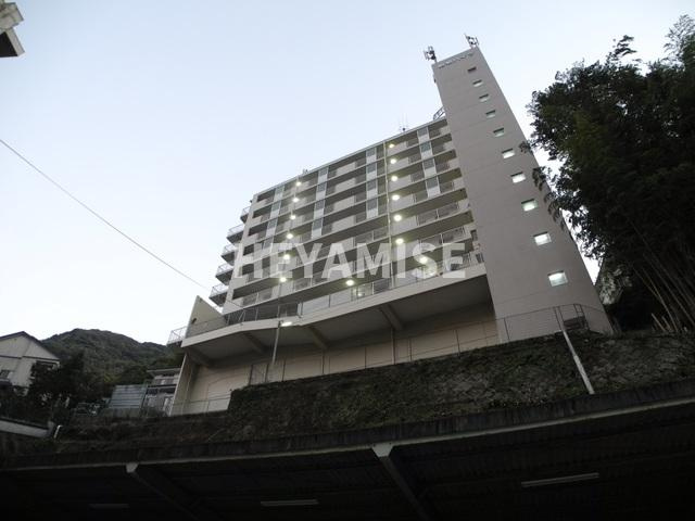 レイシーズ・カネガエ