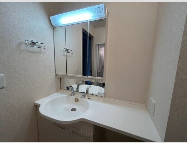 Salt Valley CourtⅡ(ソルトバレーコートツー )の洗面所