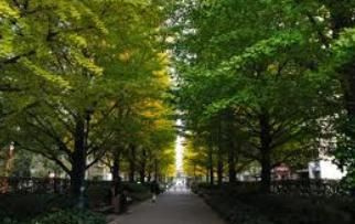 【周辺】 | メゾン・ド・ヴィレ日本橋浜町