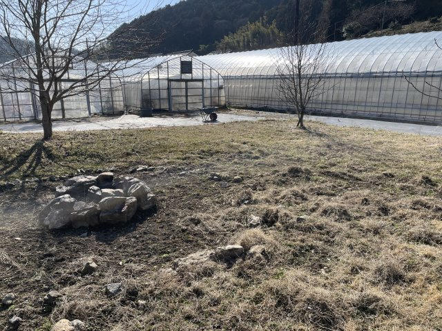 丹波篠山市瀬利の中古一戸建の庭