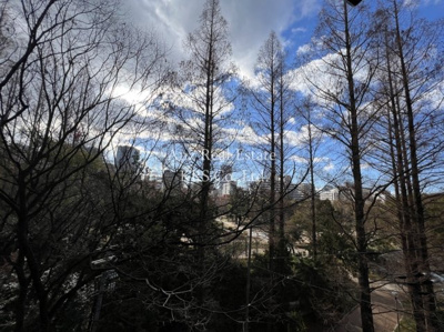 【展望】 | プレステージ靭公園 | 5階南向きバルコニーからの眺望です☆目の前が靭公園☆