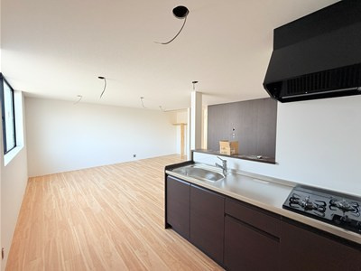 RENATUS La Paixのキッチン