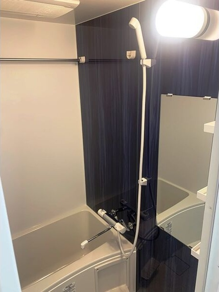 ライジングメゾン新大阪サウスの浴室