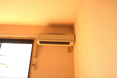 【その他】 | 春紫苑