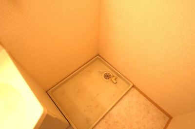 【その他】 | 春紫苑