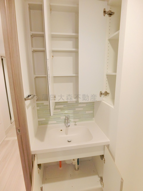 スタイリオ蒲田WESTの洗面所