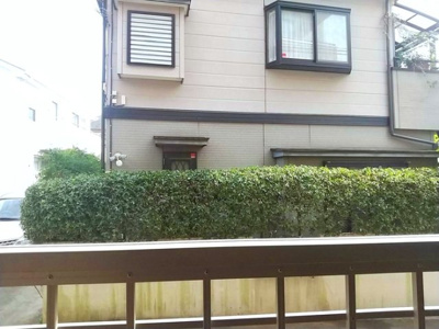 【展望】 | セビラーナ