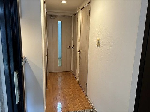 ライオンズタワー池袋の玄関|共有部からの室内　※2025年12月撮影