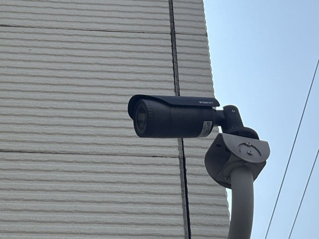 レオネクストはぶのその他