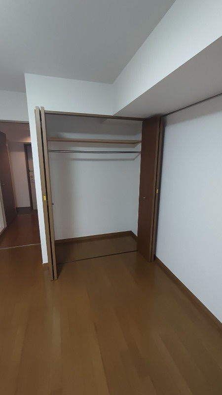 リヴシティ新宿壱番館の居間・リビング|大きなものも収納できそうです