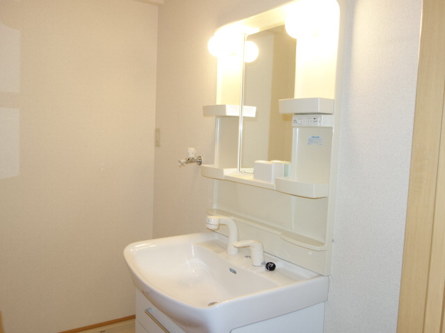 プラムガーデンの洗面所