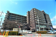 ピジョン田園の画像