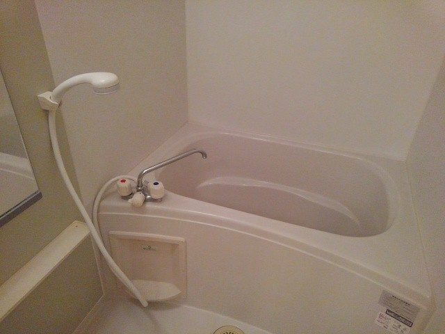 メゾンプラシードⅡの浴室