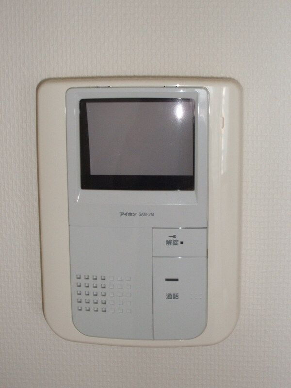 Ｓ＿ＰＡＬＭ のセキュリティ