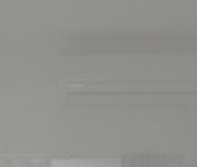 Ｓ＿ＰＡＬＭ の設備