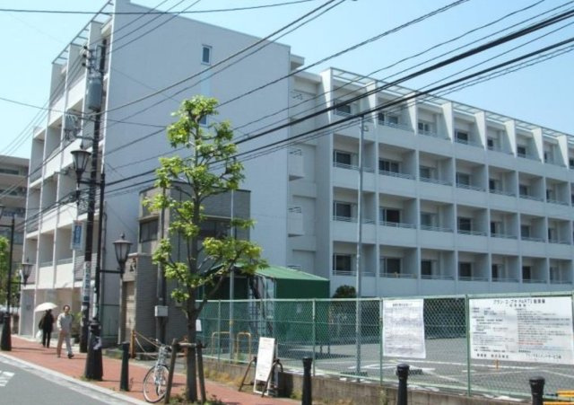 Ｓ＿ＰＡＬＭ の外観