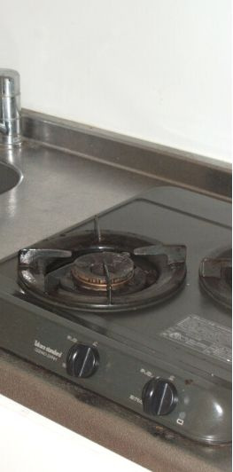 Ｓ＿ＰＡＬＭ のその他