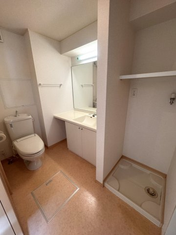 ジラソーレ長岡京の洗面所