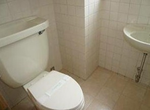 天神町明星パレスのトイレ