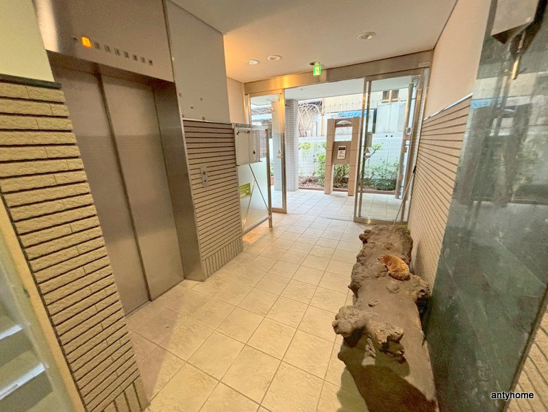 クレアみてじま　仲介手数料無料のロビー