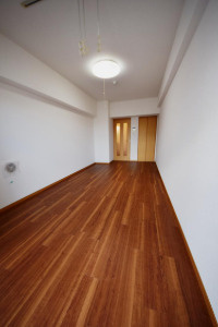 ＴＲＡＤＩＳ　ＮＩＰＰＯＲＩ　Ｅ