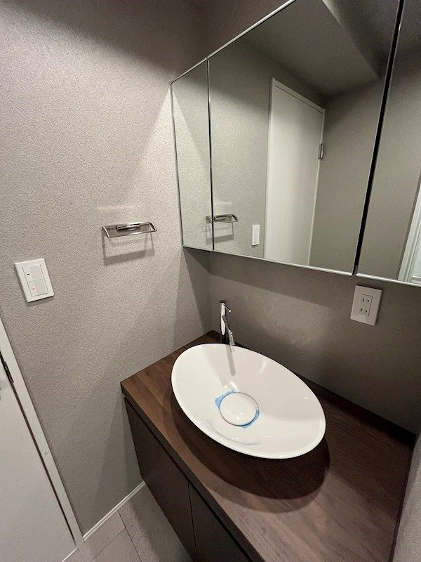 レジディア文京湯島の独立洗面台