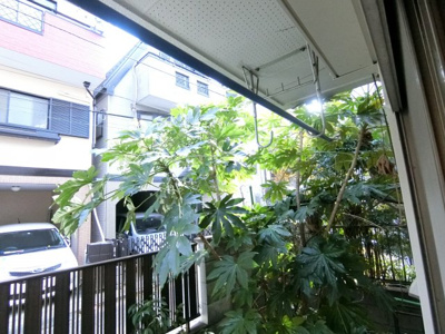 【バルコニー】 | マンションカツマタ