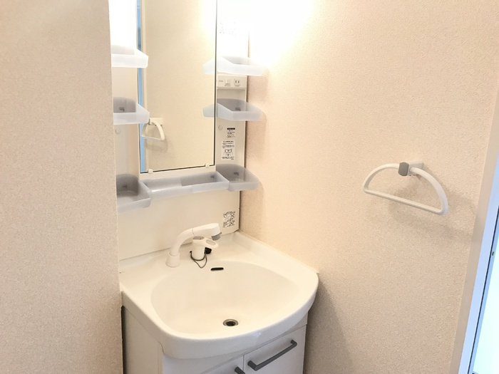 ブランシェ・ドミール　B棟の洗面所