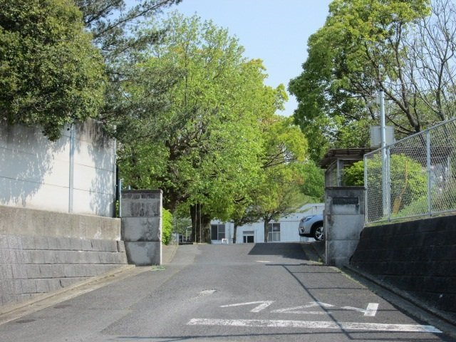 リアルエステートⅤの周辺|植木小学校まで900m