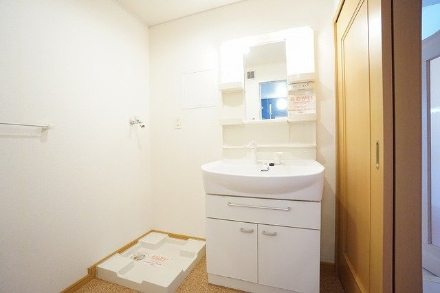 リアルエステートⅤの洗面所