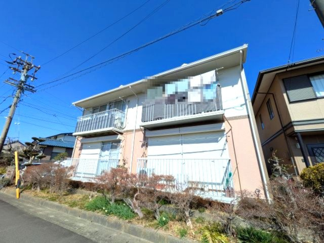 ハミングバードの外観