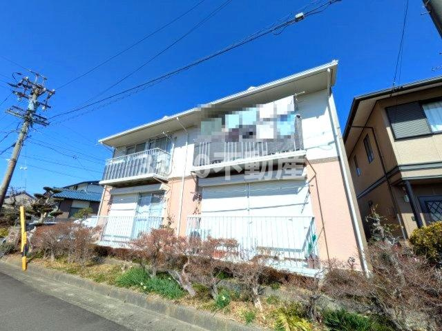 ハミングバードの外観