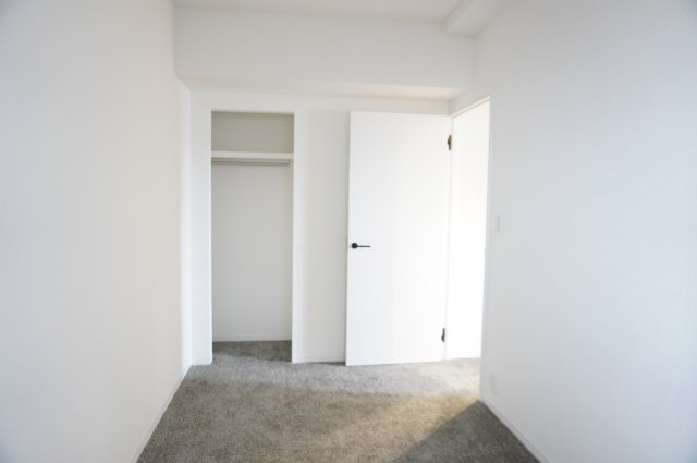 草加パーク・ホームズの収納