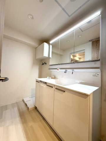 サーム北七条の独立洗面台