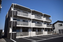 Y&M SAKURA II(ワイアンドエムサクラツー)の画像