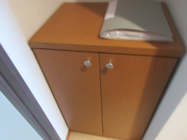 ラグリシーヌ　Ⅱの収納