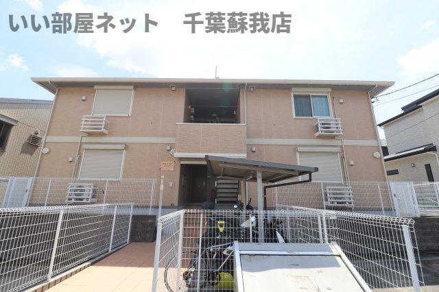 やまぼうし