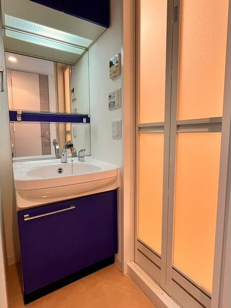 プレサンス泉アーバンゲートの洗面所