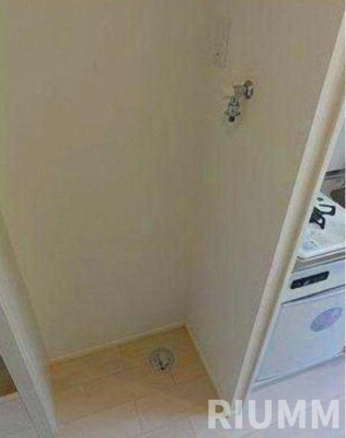 【その他】 | サークルフォレスト