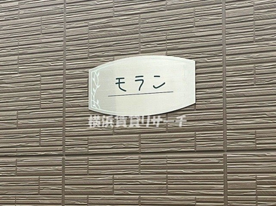 【その他】 | モラン