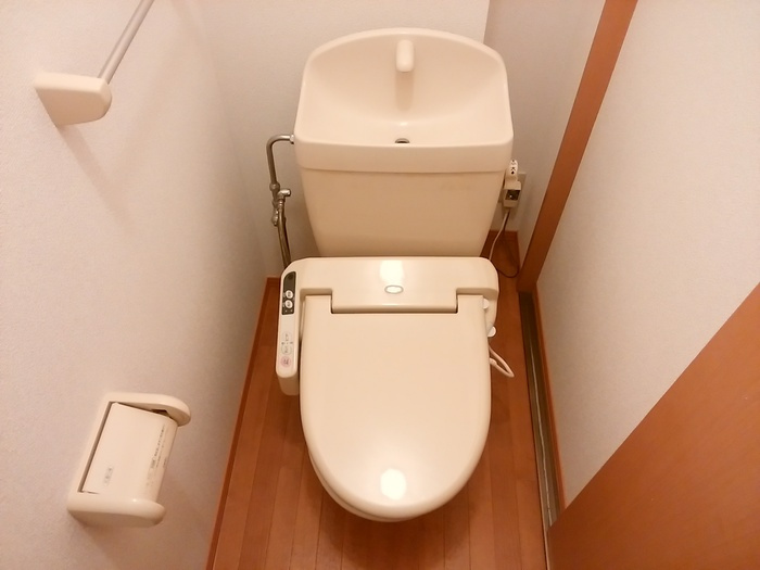 トゥルーハートのトイレ