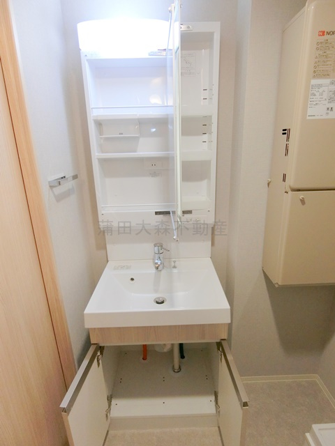 タスキ　リシェス池上の洗面所