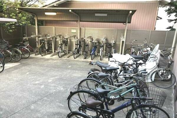 シーム・ドエル筒井のその他