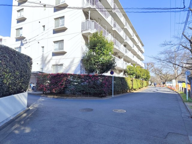 東建ニューハイツ入間の周辺|前面道路は見晴らし良好