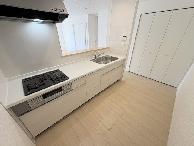 三郷市早稲田6丁目　新築戸建　全4棟　4号棟のキッチン|キッチン横には買い溜めにも便利なパントリーが付いています