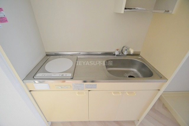 snow house Ⅱのキッチン