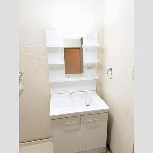 コーポ川上の洗面所