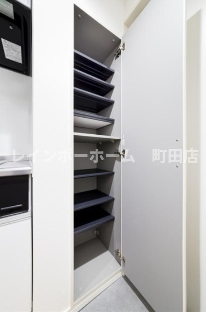 BLESS相模大野※初期費用分割あと払いサービス利用可能物件の玄関