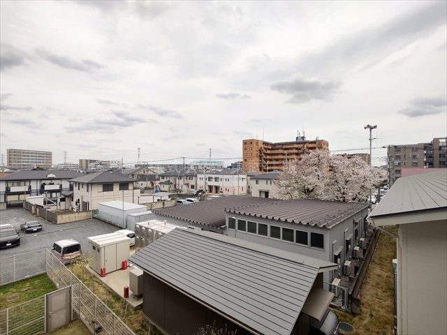 【展望】の画像