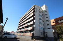 ロビニエ豊成の画像